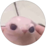 her.
