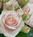 Senais friend group