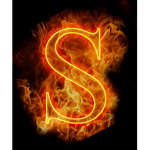 Grupo de Sammy :)