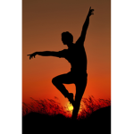 Swans Dance Accedemy