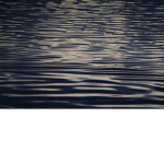 _____WAVE_____