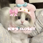 Ria's Closet!