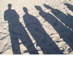 The Spirirts of Canes
