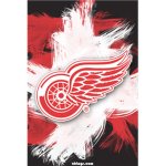 New York Red wings
