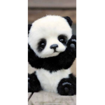 Panda ####