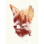 ~ Fox Packs ~