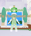 The House Of Frogs