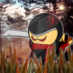 NTF