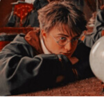 - HARRY POTTER FANDOM -