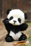 Panda(((: