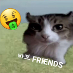 바보 FRIENDS