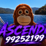 ~ASCENDD :