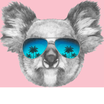 Koala Swagga