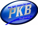Professional Knockout Boxing