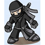 The Ninja Headbands