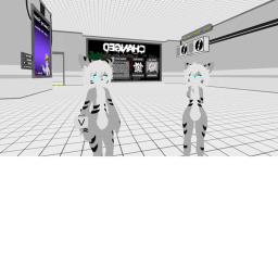 swag cat hangout place