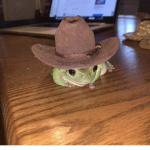 Froggyy's