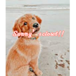 Sunny’s closet!!