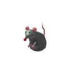 THE RAT GROUP >:)
