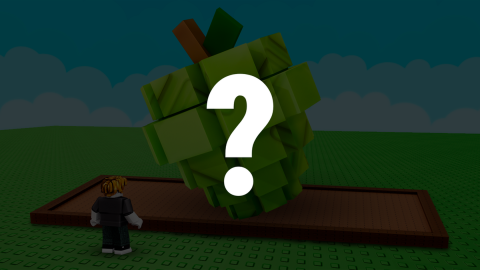 NEXT UPDATE