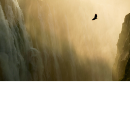 Little's Kingdom.