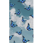 butterfly squad no haters allowed