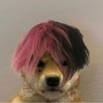 Jaz Handz News