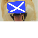 TEAM DOGE FOREVER