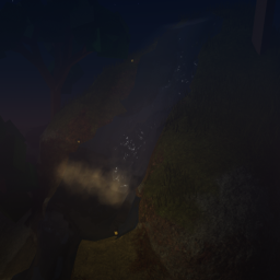 Forest.