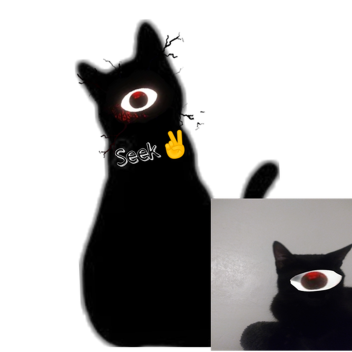 HI METIG FIXED
