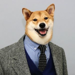 Doge Narwhal