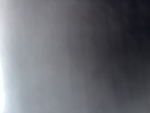Foriegn Mob