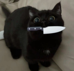 我亂創的:3