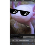 Axolotl ninja army