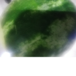 Watah melon