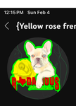 Official yellow rose Frenchies group