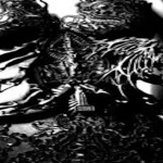 °。 ⋆༺⛧༻⋆。 °