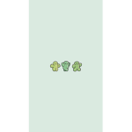 Small cute baby cactus