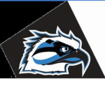 Hawk Games™