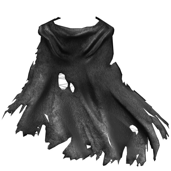 Black Old Windy Traveler Cape