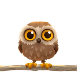 The Owl Cafe!