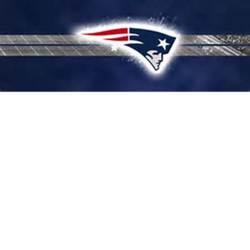 Freedom Patriots Home Stadium New!