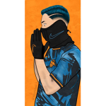Pros and hakers