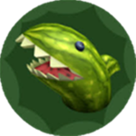 _Melon_
