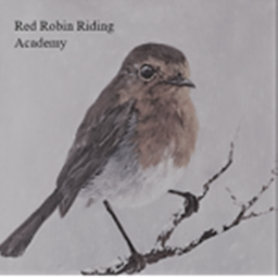 Red Robin Riding Academy