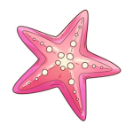 Starfish gymnastics club