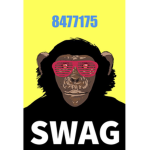 彡Swag