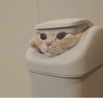 trash <3