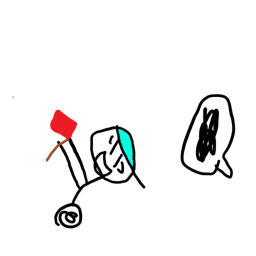 capture the flag!
