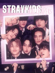 Team-SKZ<3 StrayKids-Kpop